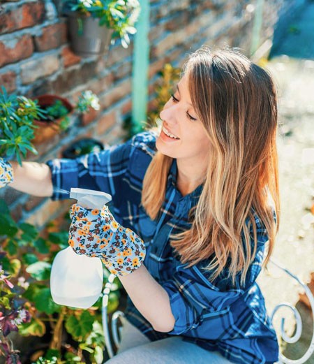 Zöld magazin | A rukkola csodája: Termesztési útmutató a házi kertészeknek